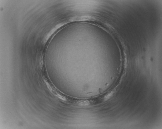 X0000051861457200507081810