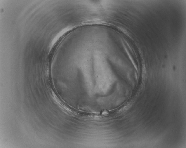 X0000051861458200507081810