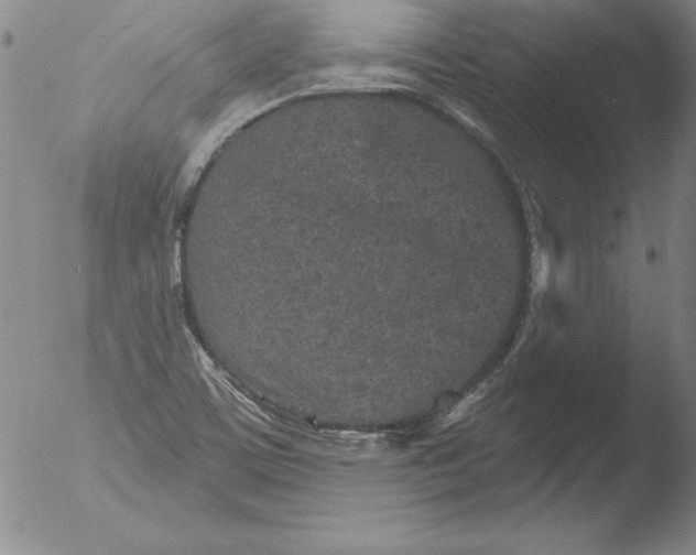 X0000051861459200507081810