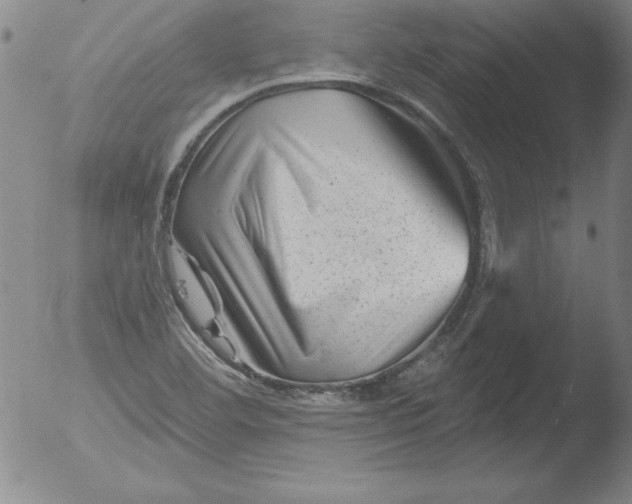 X0000051861460200507081810