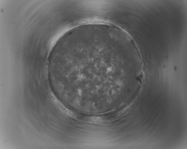 X0000051861463200507081810