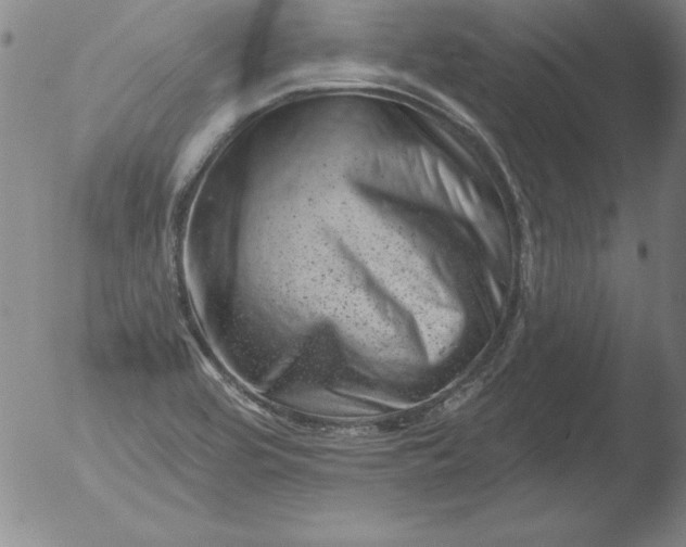 X0000051861464200507081810