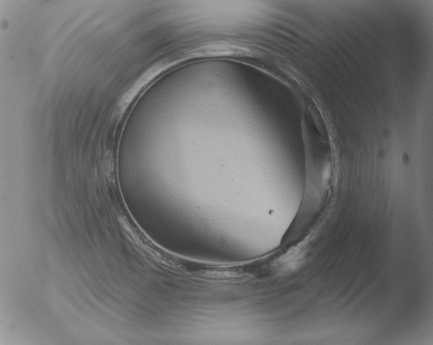 X0000051861465200507081810