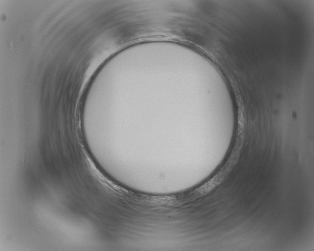 X0000051861466200507081810