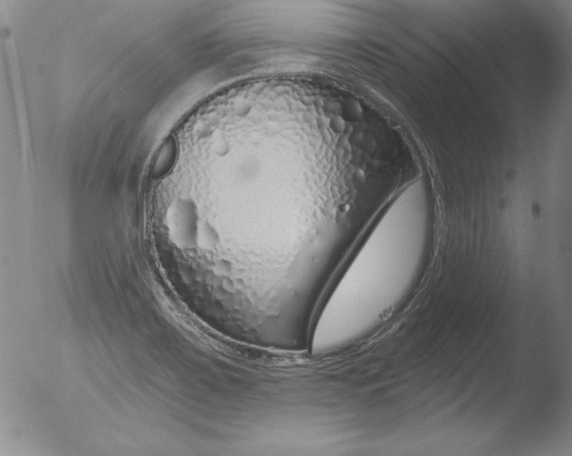 X0000051861467200507081810