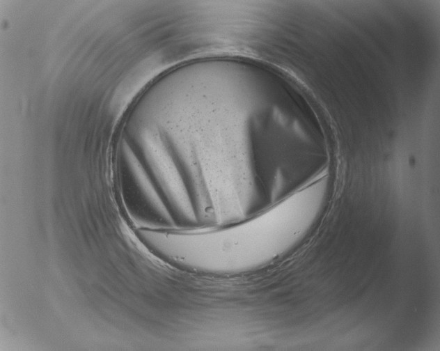 X0000051861468200507081810