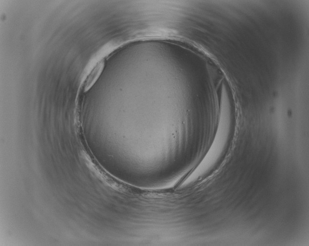 X0000051861469200507081810