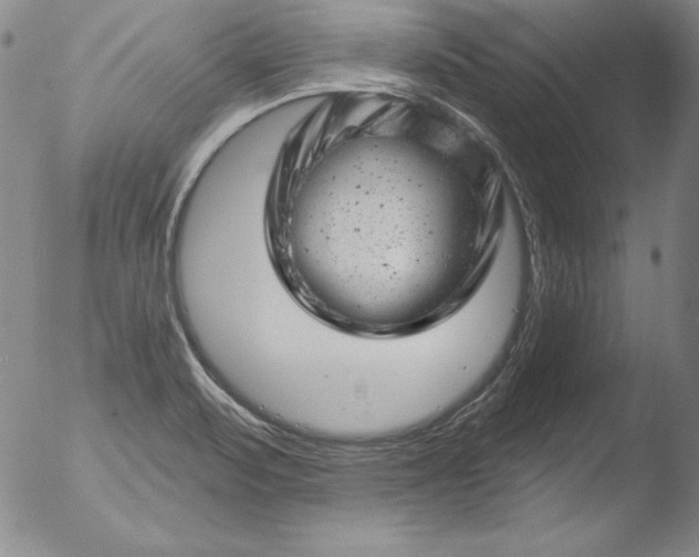 X0000051861471200507081810