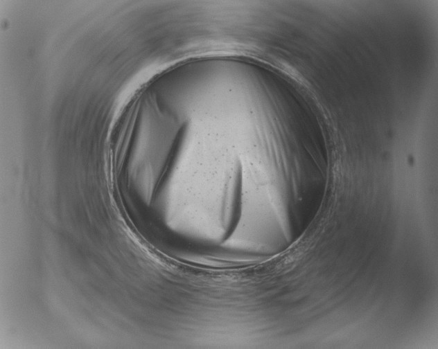 X0000051861472200507081810