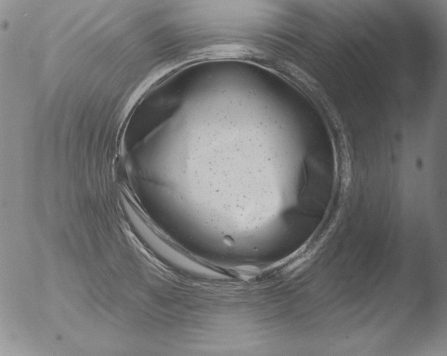 X0000051861473200507081810