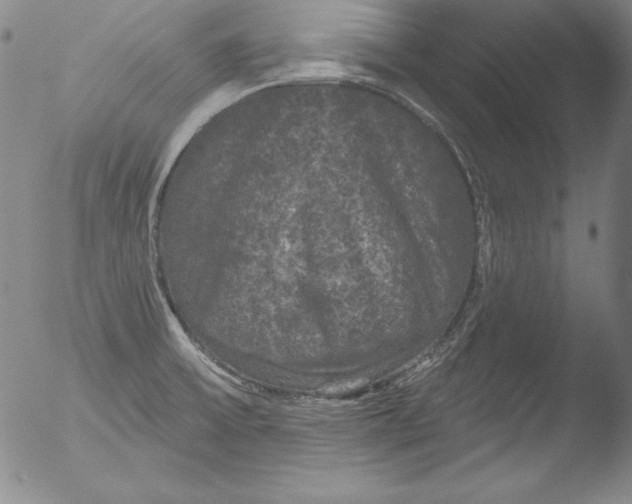 X0000051861475200507081810