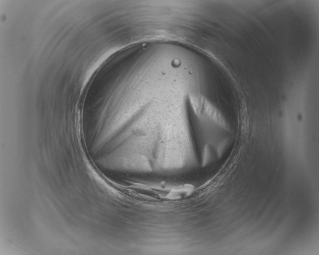 X0000051861476200507081810