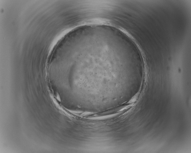 X0000051861477200507081810