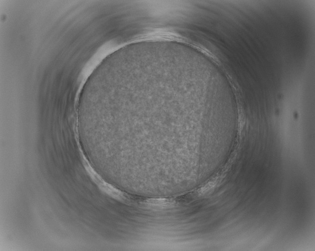 X0000051861478200507081810