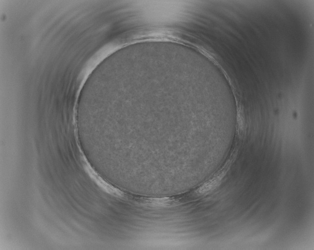 X0000051861482200507081810