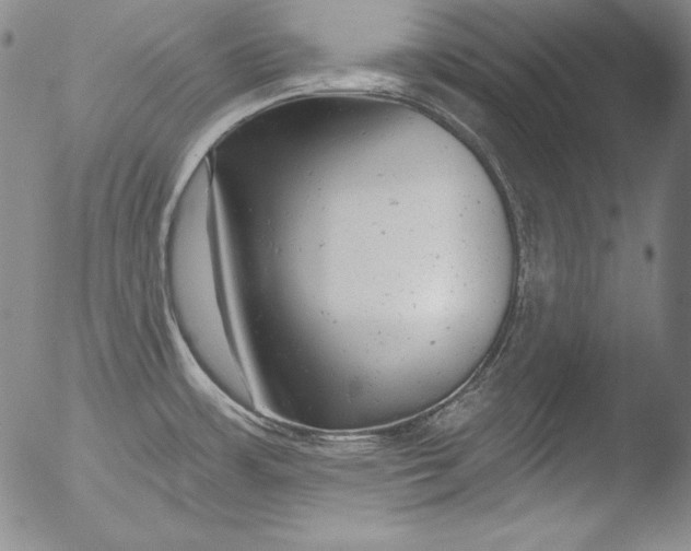 X0000051861483200507081810