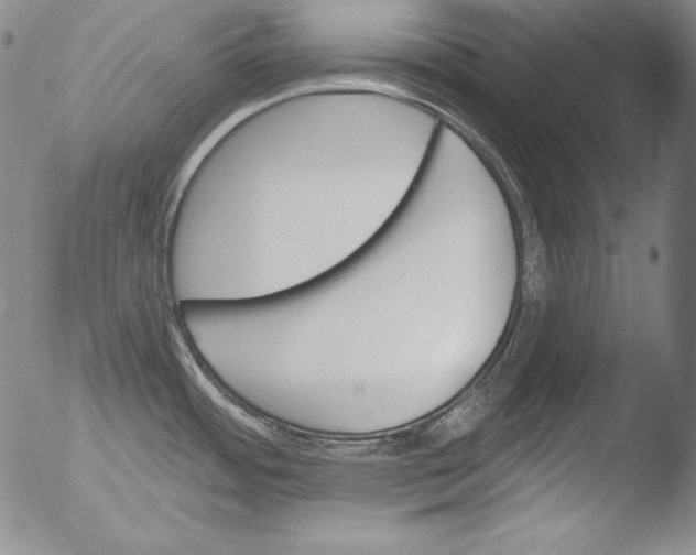 X0000051861484200507081810