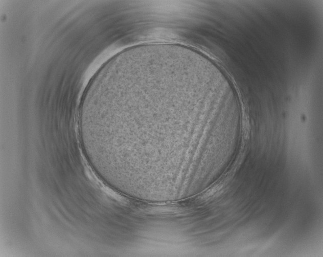 X0000051861486200507081810