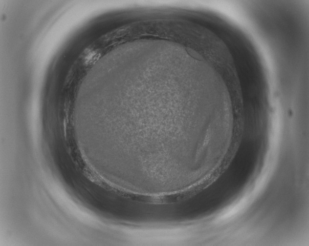 X0000051861487200507081810