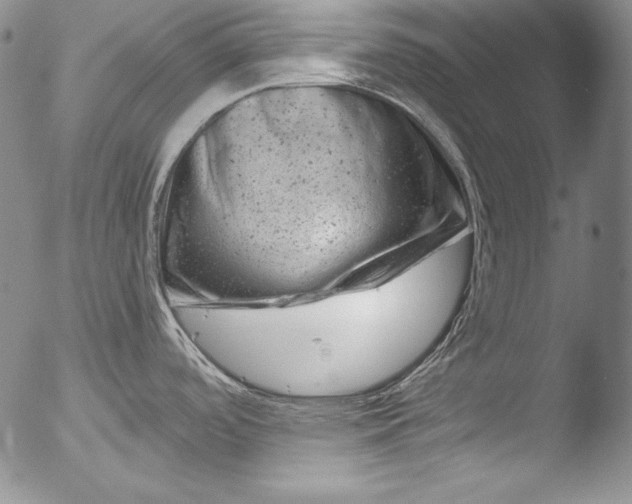 X0000051861488200507081810