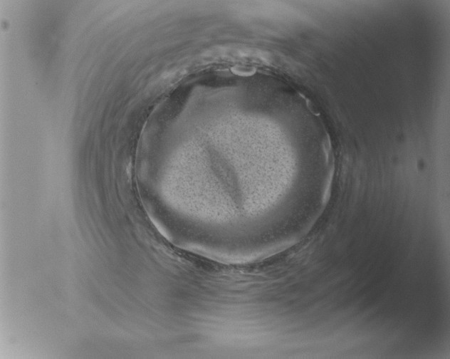 X0000051861489200507081809