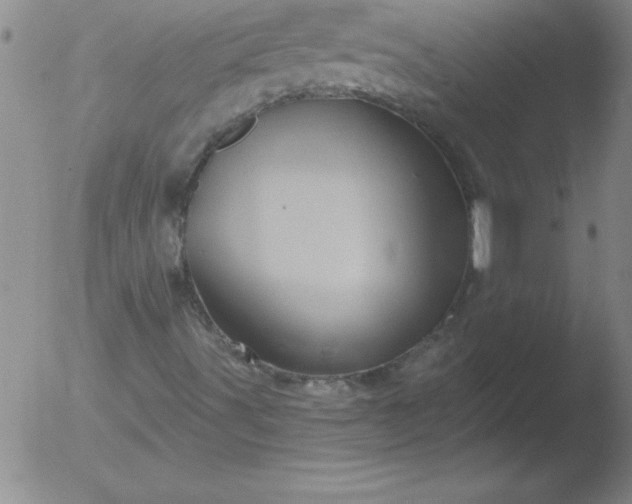 X0000051861491200507081809