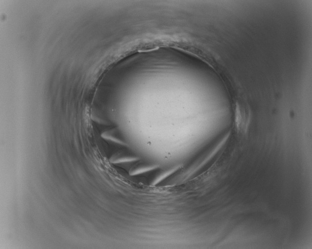 X0000051861492200507081809