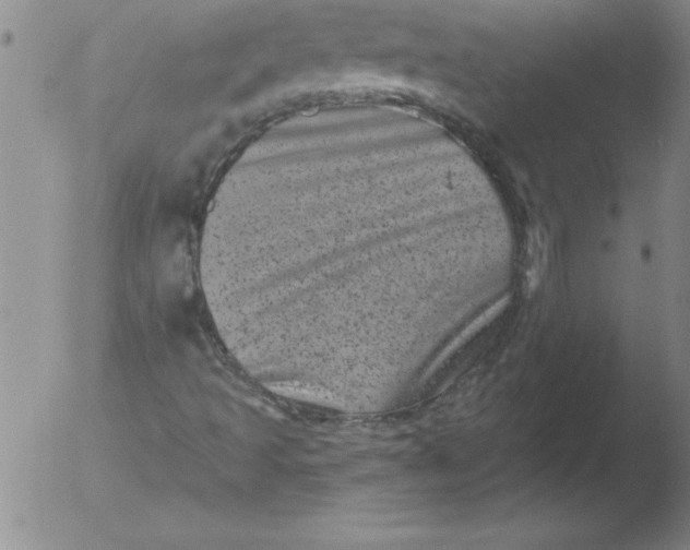 X0000051861493200507081809