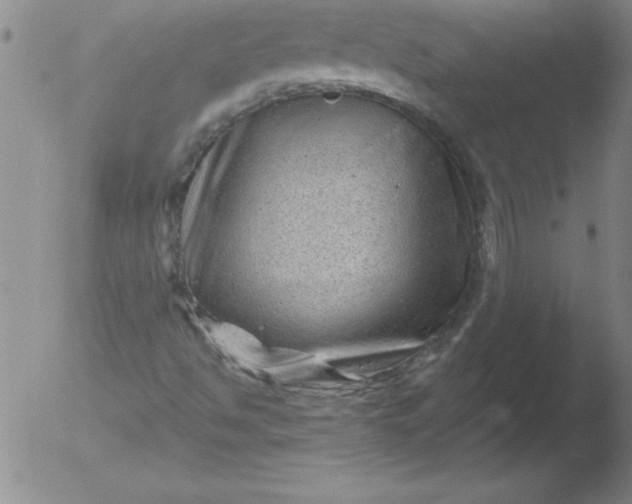 X0000051861494200507081809