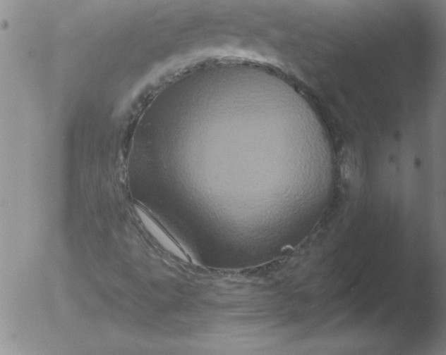 X0000051861495200507081809