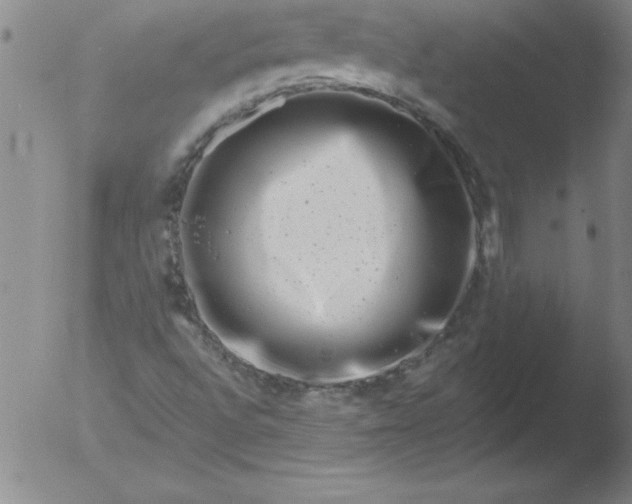 X0000051861496200507081809