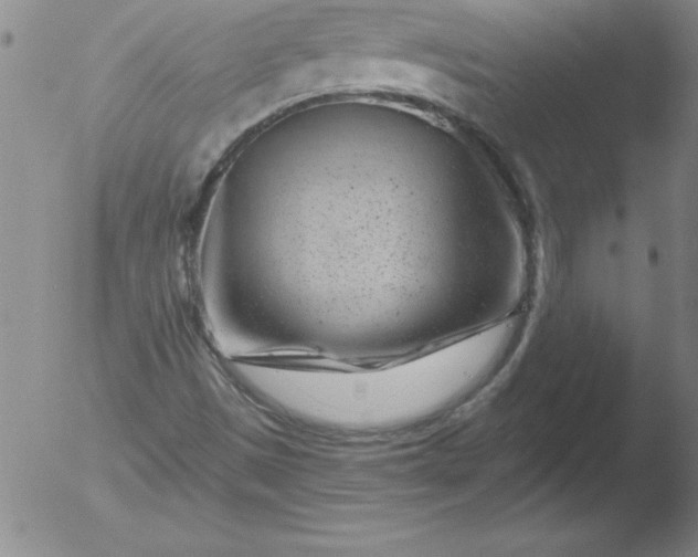 X0000051861497200507081809