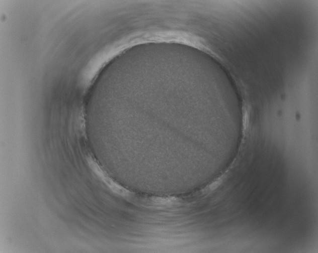 X0000051861498200507081809