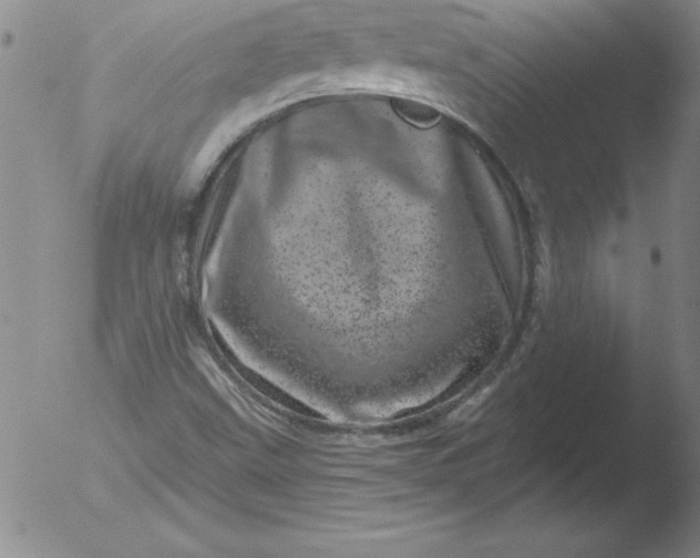 X0000051861499200507081809