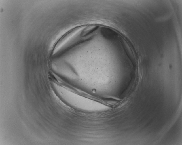 X0000051861500200507081809