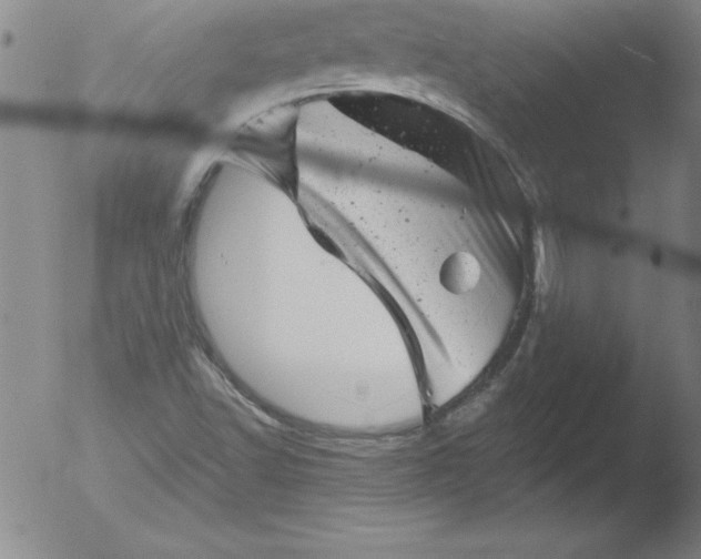 X0000051861502200507081809