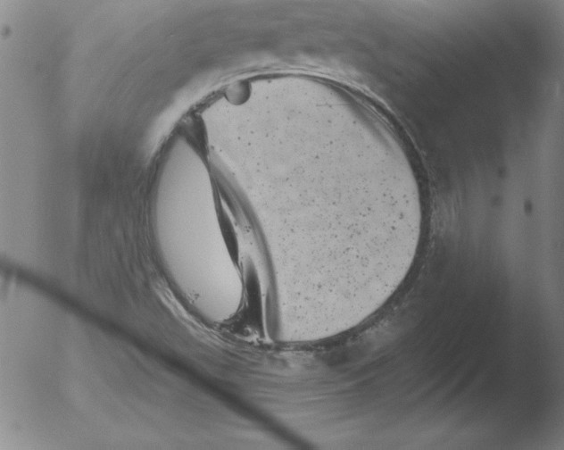 X0000051861503200507081809