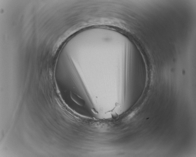 X0000051861505200507081809