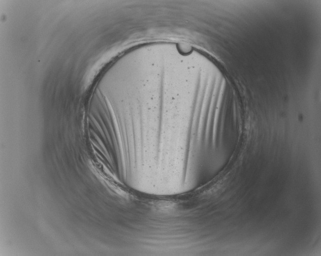 X0000051861507200507081809