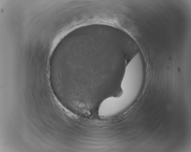 X0000051861508200507081809