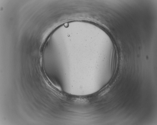 X0000051861509200507081809