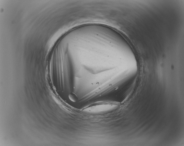 X0000051861511200507081809