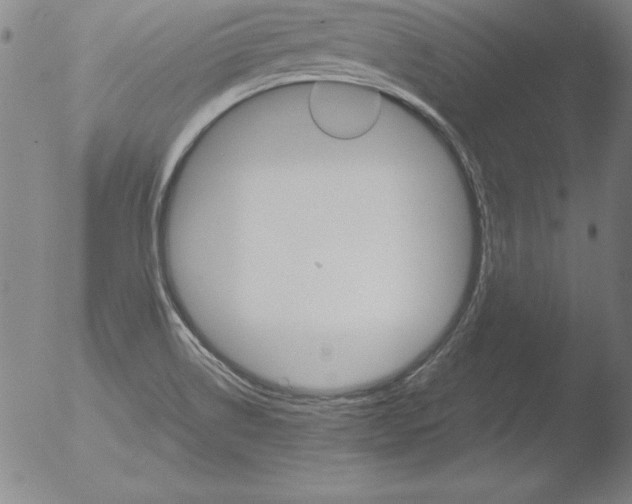 X0000051861514200507081809