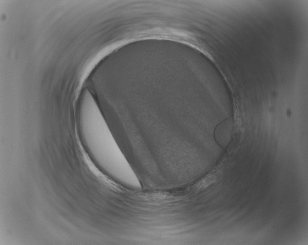 X0000051861515200507081809