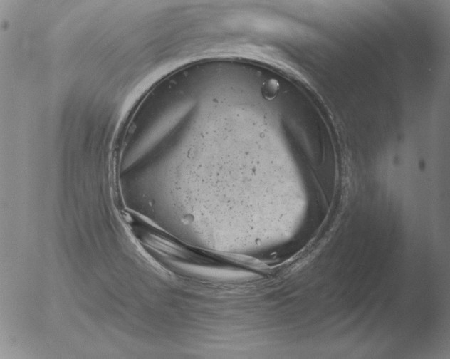 X0000051861517200507081809