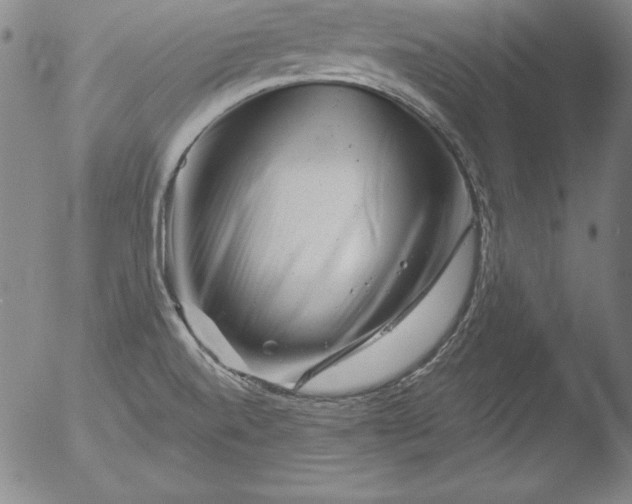 X0000051861520200507081809