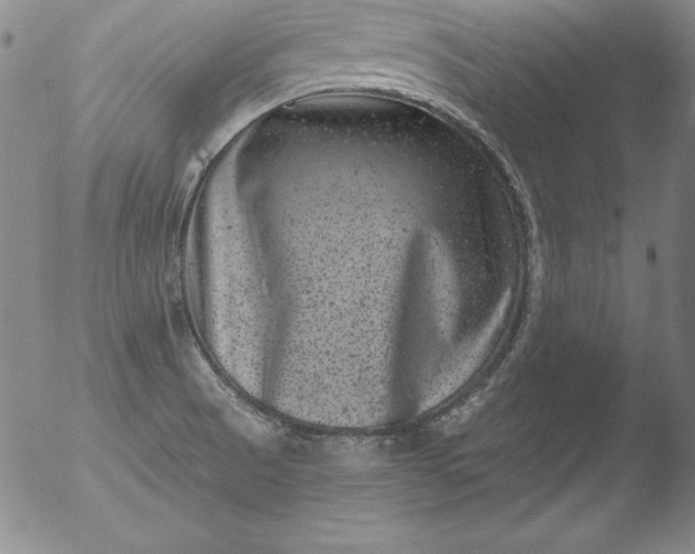 X0000051861521200507081809