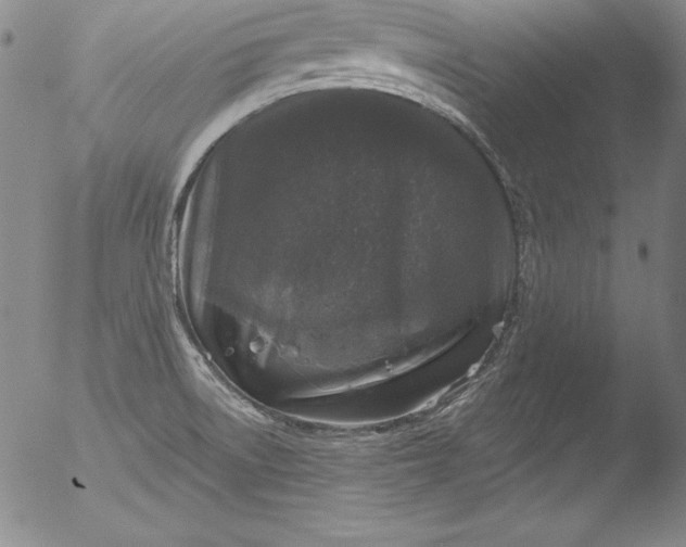 X0000051861522200507081809