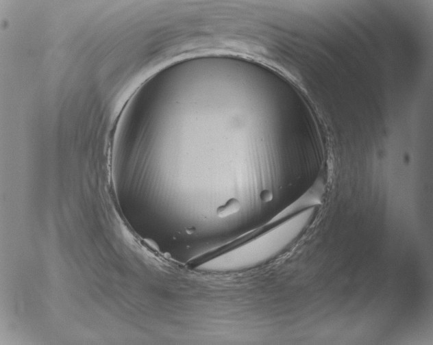 X0000051861524200507081809