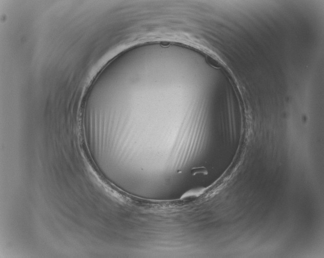 X0000051861525200507081809